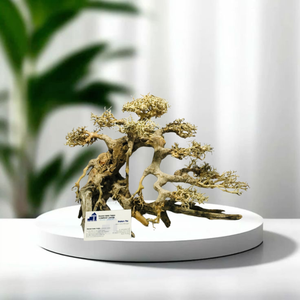 2025จากเวียดนามเป็นมิตรกับสิ่งแวดล้อมอุปกรณ์ตู้ปลาและของตกแต่งเดสก์ท็อป - Product Image 1