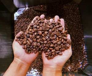 กาแฟโรบัสต้าพรีเมียม ต้นกำเนิดจากเวียดนาม คั่วอ่อน รสขม เกรดพรีเมียม สำหรับใช้ในอุตสาหกรรมอาหารและเครื่องดื่ม - Product Image 2