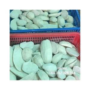 TARO CONGELADO A BUEN PRECIO AL POR MAYOR CON TEXTURA DE ALTA CALIDAD-VIETNAM PRECIO COMPETITIVO VENTA A GRANEL TARO CONGELADO ORGÁNICO - Product Image 3