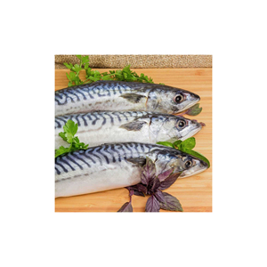 Proceso óptimo de conservación del agua de pescado de caballa congelado fresco - Product Image 2