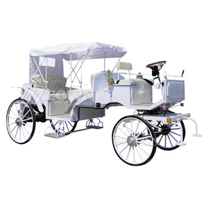 Transportador personal eléctrico blanco puro, carruaje tirado por caballos Vintage para vehículo de transporte especial Park Ride - Product Image 1