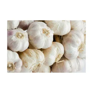 Fornitore di aglio bianco bianco bianco viola bianco puro e fresco