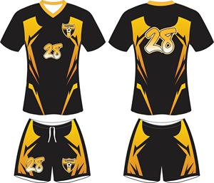 Camisetas de Fútbol para Adultos de Alta Calidad, 100% Poliéster, Transpirables, Elásticas, Manga Corta, Color Sólido, Cuello en V, Conjuntos de Uniformes Personalizados - Product Image 6