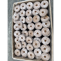 Fournitures de jardin écologiques Granulés de tourbe de coco | Disque de coco | Bloc de tourbe de coco | Kit de démarrage de semences avec granulés de terreau du Vietnam