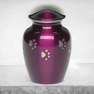 Urne classique en laiton pour animaux de compagnie avec des accents d'empreinte de patte d'or finition brillante métal commémoratif gravure personnalisée ailes d'ange petites urnes pour animaux de compagnie - Product Image 3