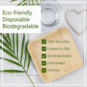 Tienphong Assiette à dîner jetable écologique de 10 pouces Assiette carrée en feuille de palmier biodégradable naturelle Vaisselle robuste - Product Image 3