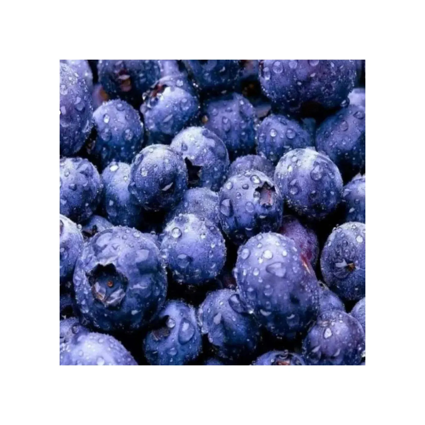 ब्लूबेरी जमे हुए निविदा और नाजुक जामुन थोक ब्लूबेरी के स्वाद और संरचना को संरक्षित करते हैं।