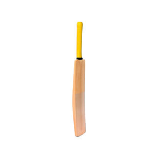 Mini batte de cricket rigide pour le cricket professionnel, batte en saule anglais pour les joueurs, nouvelle arrivée, logo personnalisé - Product Image 3