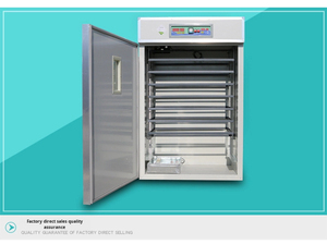 Incubateur automatique industriel de grande capacité (2000 œufs) pour poulets et canards, utilisé dans les élevages - Product Image 4