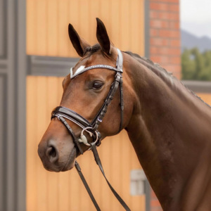 Brida de doma de cuero marrón de primera calidad con banda para cejas brillante en forma de V, banda para la nariz, productos para caballos acolchados cómodos - Product Image 2