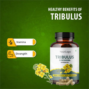 Cápsulas de extracto de raíz de Tribulus Terrestris de grado alimenticio cultivado salvaje Premium, suplementos de extracto de hierbas, aumenta la resistencia energética - Product Image 2