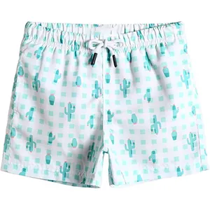 Quick Dry Beach Pants Men's Printed Loose Swimming Shorts Fitness Short Pants Casual Men Shorts For Export In Bulk