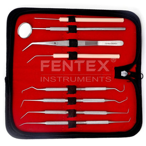 Kit de higiene Dental de acero inoxidable, juego de removedor de placa de cálculo, raspador de tártaro, escaladores dentales, Instrumentos dentales - Product Image 2