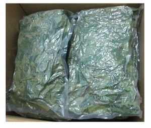 ใบหญ้าฝรั่งแห้งมาตรฐานที่ดีที่สุดสําหรับทําชาสมุนไพรสลิมมิ่งชาดีท็อกซ์ด้วยราคาถูกที่สุดจากเวียดนาม - Product Image 2