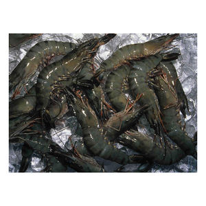Camarones Tigre Enteros Congelados de Grado de Exportación, Directo de Fábrica para Compradores - Product Image 2