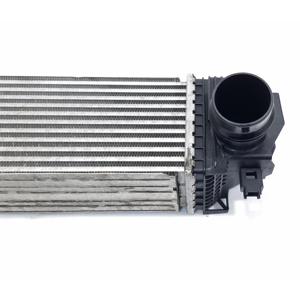 INTERCOOLER BMW X1 Série (F48) 17117617598 B47 C20 A, B47 C20 B Diesel 2000 (15>) - Product Image 5