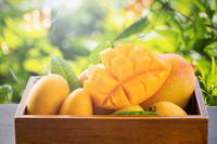 Uitgedroogd Mango-Gedroogde Mango 100% Puur Natuurlijke Plakjes-Top Kwaliteit Mango Gedroogd Door Zon Stijgen