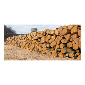 Bois de chauffage de hêtre en vrac fourni pour l'achat en gros prix abordable de qualité supérieure - Product Image 5