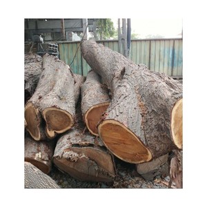 Bois de teck naturel, planches de bois dur durables pour la menuiserie et les projets d'intérieur - Product Image 3