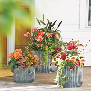 Lot de 3 jardinières de fleurs galvanisées adaptées aux maisons, aux jardins, aux cours et aux décorations extérieures. - Product Image 1