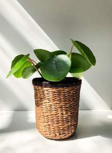 Jardinera redonda de hierro y caña para decoración de jardín y jardinera de mimbre y algas marinas de color natural - Product Image 2