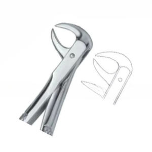 Forceps d'extraction dentaire Fig86 B Manuel Certifié CE Acier inoxydable de haute qualité Logo personnalisé Instruments dentaires - Product Image 6