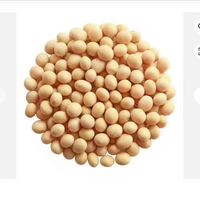 Graines de soja biologiques non-OGM, farine de soja jaune séchée, origine AD, durée de conservation de 2 ans pour usage alimentaire