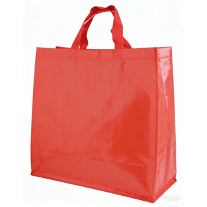 PP Woven Shopping Bags with Hook & Loop Closure and PP Webbing Handles Multi-Size <b>Box</b> <b>Packaging</b> - Product Image 2