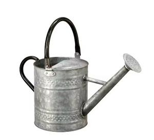 Arrosoir en bronze en métal de style nordique Top tendance Pot d'ingénierie de plantes de jardin de l'Inde pour une utilisation en extérieur - Product Image 4