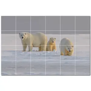 ภาพจิตรกรรมฝาผนังกระเบื้องเซรามิกหมี PT500112 72 "W x 48" H ชุดกระเบื้อง24 12X12 - Product Image 1