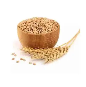 Gốc bột mì trong số lượng lớn bán buôn/Canada Chất lượng cao bột mì để bán 25kg/50kg Túi