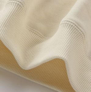 Sweats à capuche d'hiver chauds vente en gros de sweats en molleton de coton épais 350GSM avec broderie personnalisée fournisseur de marque privée - Product Image 2