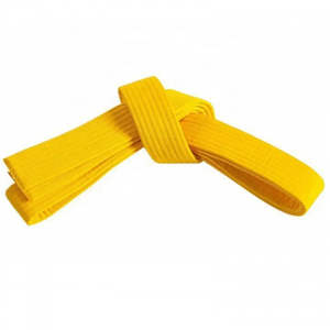 Cinturón BJJ multicolor sólido de algodón polivinílico para equipos de entrenamiento de artes marciales fabricado por Star Figure Enterprises (verificado por PayPal) - Product Image 6