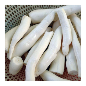 Meilleur manioc congelé du Vietnam, tapioca entier et tranché de manioc congelé de qualité supérieure, parfait pour les soupes, les collations, les desserts et l'exportation - Product Image 6