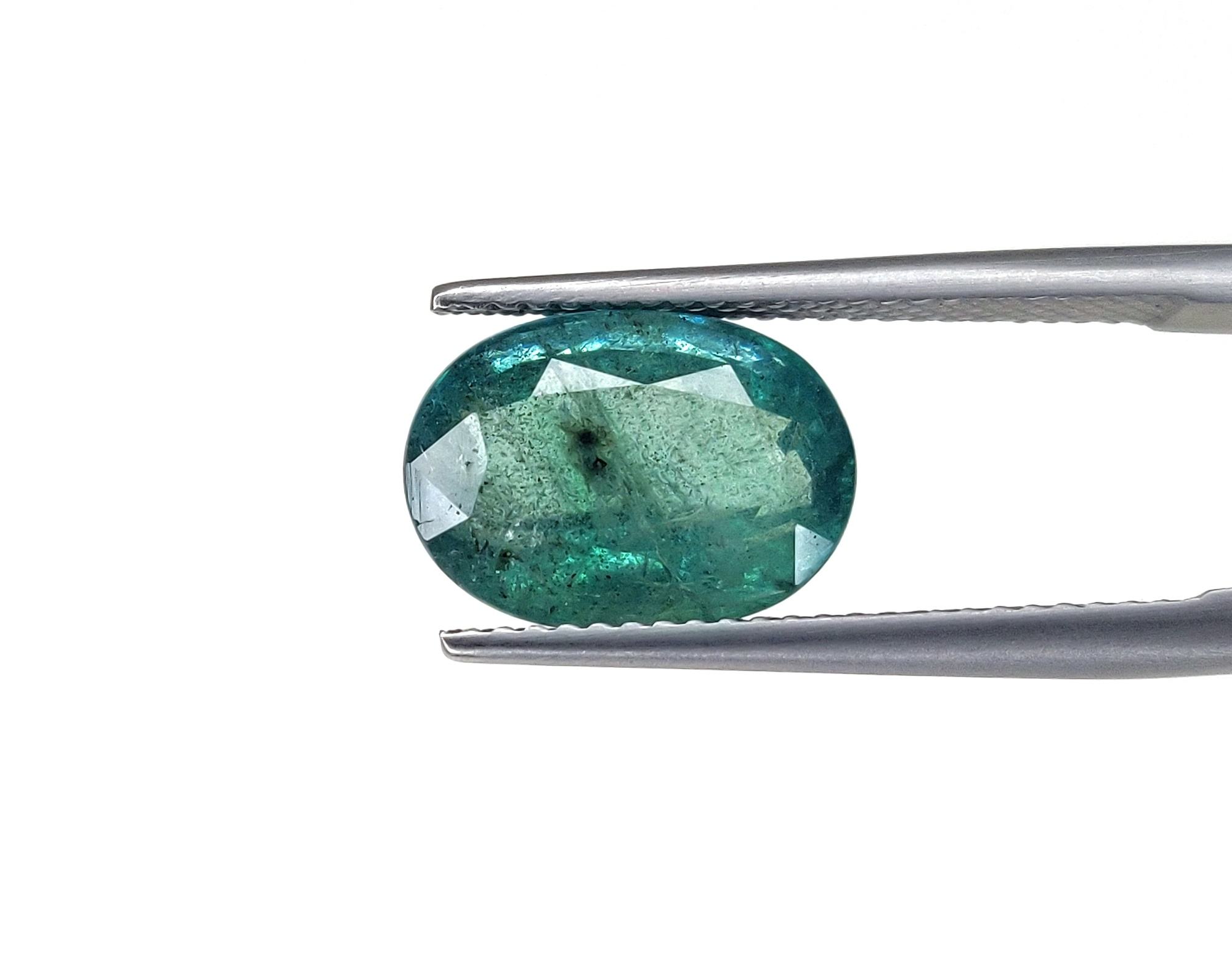 สีเขียวปานกลาง