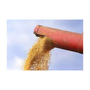 Harina de soja de alta calidad para alimentación Animal, venta al por mayor, harina de maíz, alimento para el hogar, venta al por mayor - Product Image 5