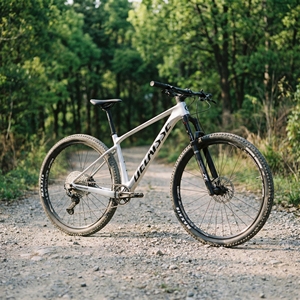 成人碳纤维山地车硬尾自行车 轻量级 29er XC 山地自行车设计 - Product Image 3