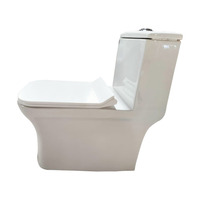 WC suspendu en céramique de luxe blanc One Piece, modèle Sigma n°119, taille 225 mm, cuvette allongée