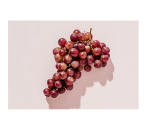 Uvas frescas a la venta Pedidos al por mayor aceptados Obtenga uvas frescas de alta calidad a precios bajos en todo el mundo Pida ahora a precios asequibles - Product Image 4