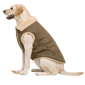 Chaqueta Aislante para Perro, Abrigo de Invierno para Mascotas, Chaleco Cálido sin Mangas con Botones Delanteros para Perros Pequeños, Medianos y Grandes - Product Image 3