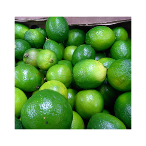 Limones frescos sin semillas de calidad superior con mucho jugo-Nuevas ventas de limas frescas sin semillas, sabor agrio, Lima fresca verde - Product Image 4
