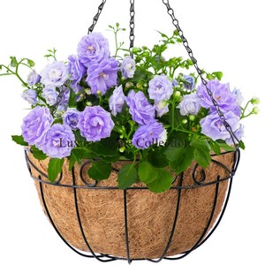 Pots de fleurs et jardinières en métal au design unique et élégant Couleur noire Revêtement en poudre Brillant Poli Design attrayant Haute qualité - Product Image 1
