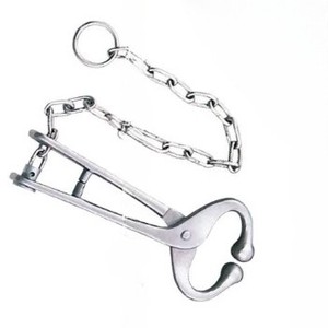 Plomo de toro veterinario personalizado superior con equipo terapéutico de cadena instrumentos veterinarios de acero inoxidable - Product Image 4