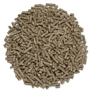 Pellets de pulpa de remolacha de fuente de fibra confiable a granel Pellets de pulpa de remolacha de alimentación animal de alta demanda disponibles para venta rápida - Product Image 5
