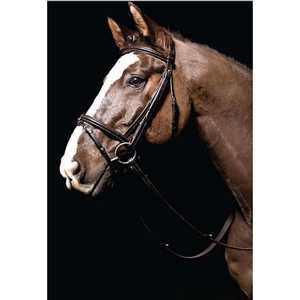 Colección de Bridas y Monturas para Caballos Caldene Bridle Flash Premium Western de Cuero Negro/Marrón /Cob/Full/XXL - Product Image 2