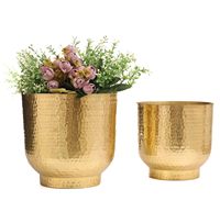 Jardinières de pots de fleurs de luxe pour la maison avec support Jardinière en métal de décoration de jardin personnalisée Fabricant et exportateur en gros