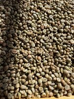 BEST SELLER 2024 - Grains de café vert torréfié vietnamien Robusta Daklak, sac de 1 kg, qualité certifiée, livraison rapide, prix avantageux, CAFÉ