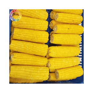 Grains de maïs sucré congelés de qualité d'exportation traités IQF pour les marchés alimentaires mondiaux Vente en gros de qualité alimentaire à haute teneur en sucre - Product Image 5