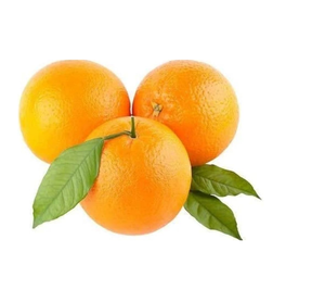 Fruta fresca de naranjas de Valencia de alta calidad para batidos y ensaladas de frutas - Product Image 4