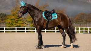 แผ่นรองอานม้าหนังกลับ BRAND ZONE แบบสี่เหลี่ยม สำหรับใช้งานทุกประเภท คุณภาพสูง อุปกรณ์สำหรับม้า อุปกรณ์เสริมสำหรับม้า - Product Image 4